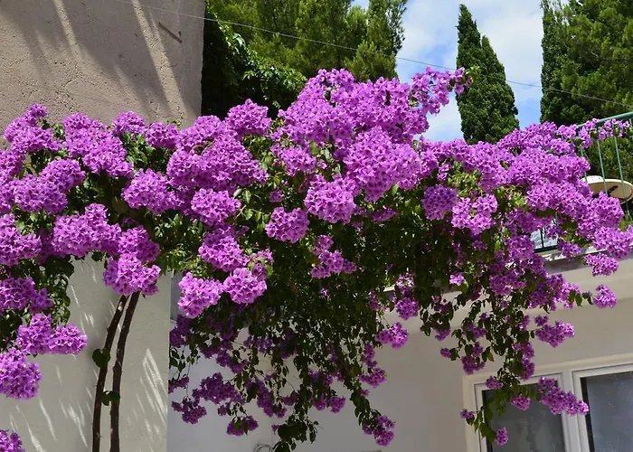 Petra & Rustic מאקרסקה