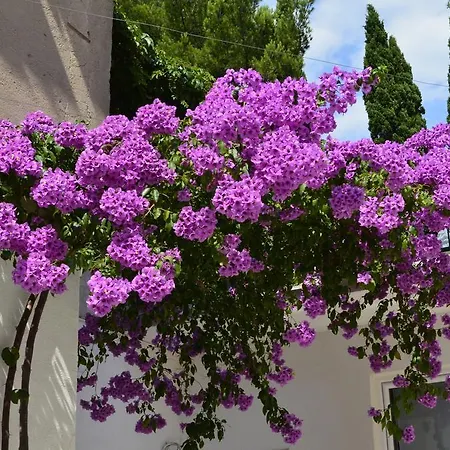 Petra & Rustic Makarska